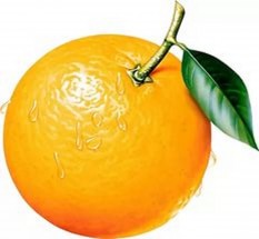 Апельсин с листиком - картинка					№12129
