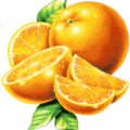 Дольки апельсина - картинка №12776