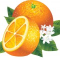Полтора апельсина с цветочком - картинка №10433