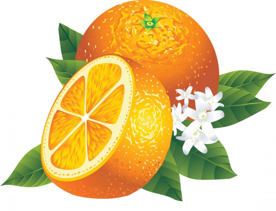 Полтора апельсина с цветочком - картинка №10433