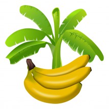 Банан и зелень - картинка					№13456