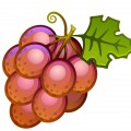 Бордовый виноград - картинка №7026