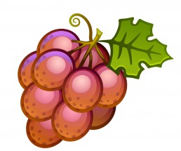 Бордовый виноград - картинка					№7026