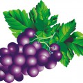 Виноград с листьями - картинка №10539