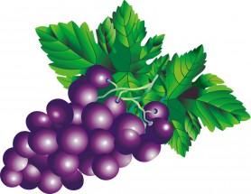 Виноград с листьями - картинка					№10539