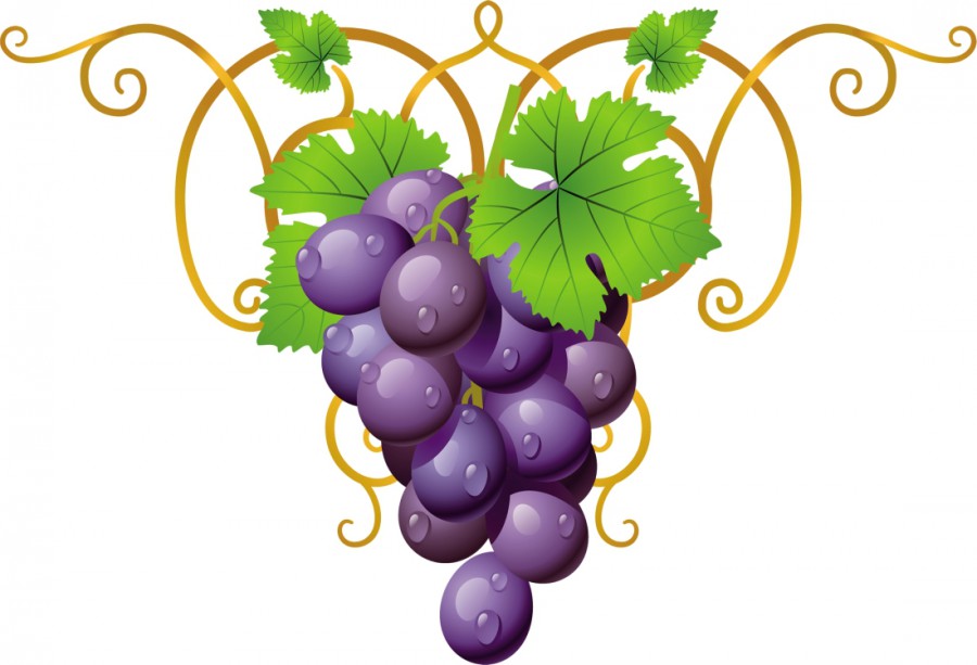Виноградная лоза с плодами - картинка №10601