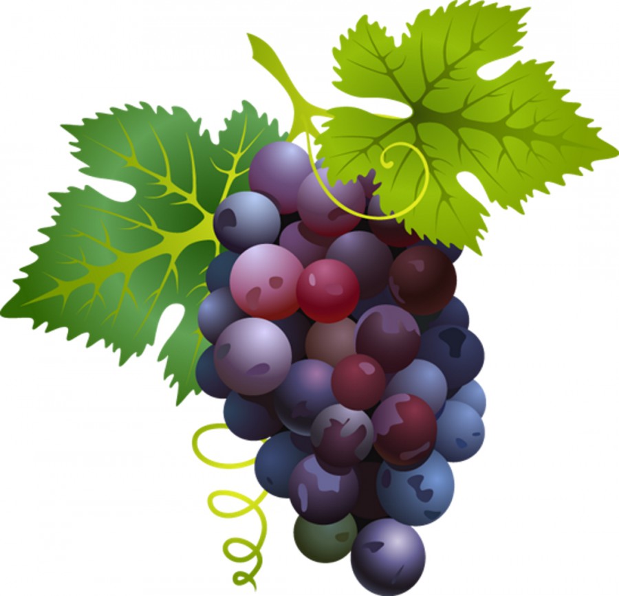 Гроздь винограда - картинка №9988