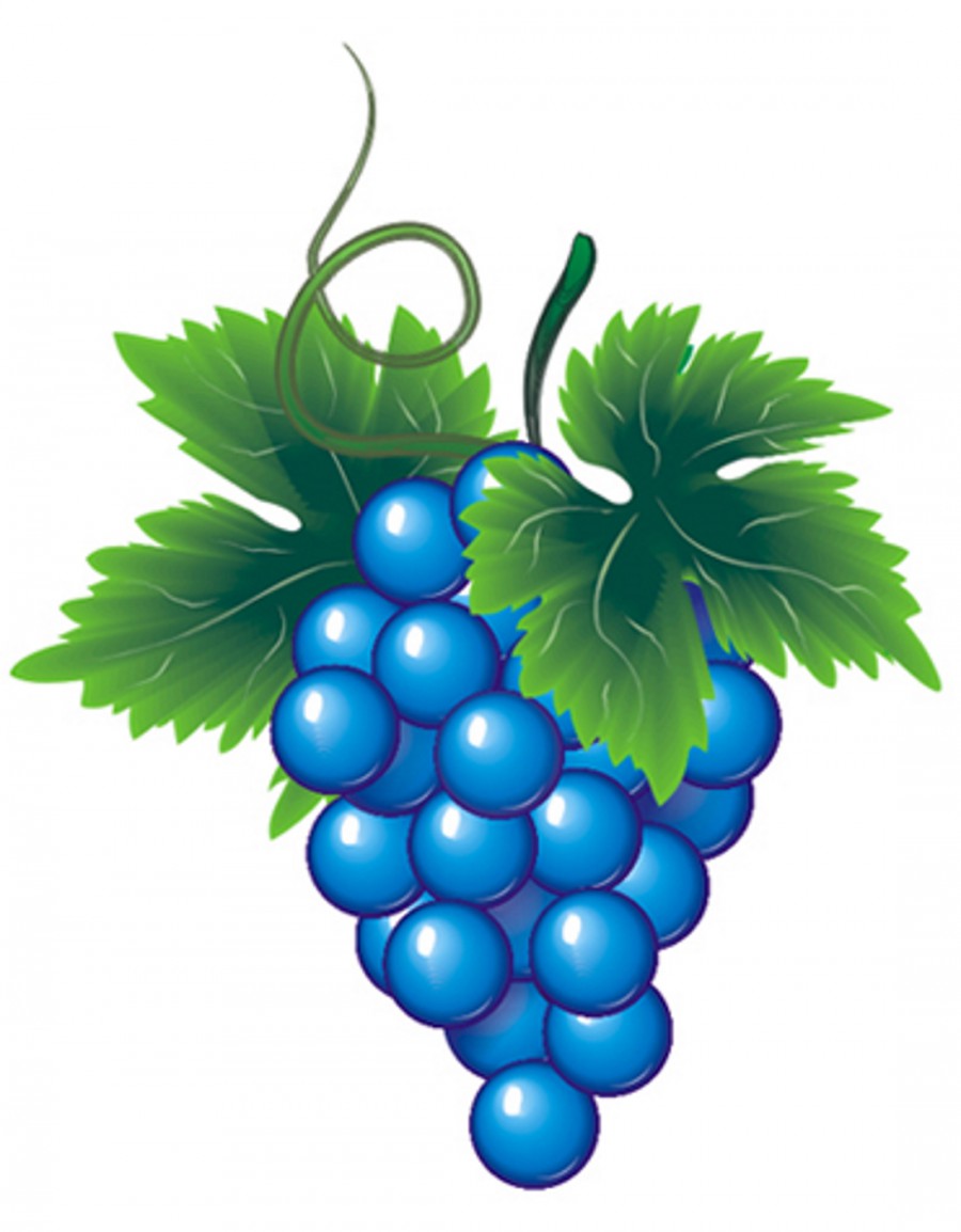 Нереально синий виноград - картинка №9925