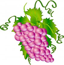 Сиреневый виноград - картинка					№13747