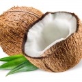 Аппетитный кокос - картинка №7117