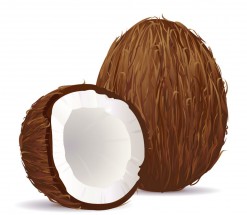 Большой кокос - картинка					№11882