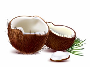 Мохнатый кокос - картинка					№9872