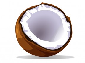 Мякоть кокоса - картинка					№12850