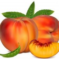 Вкусные персики - картинка №14027