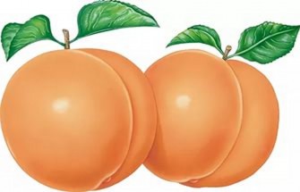 Два спелых персика - картинка					№12234