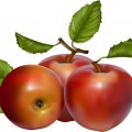Три яблока - картинка №12638