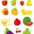 Разноцветные фрукты - картинка №9650