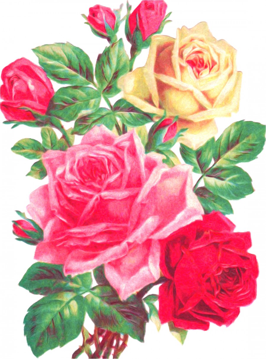 Композиция разноцветных роз - картинка №9517