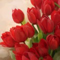 Алый букет тюльпанов - картинка №7460