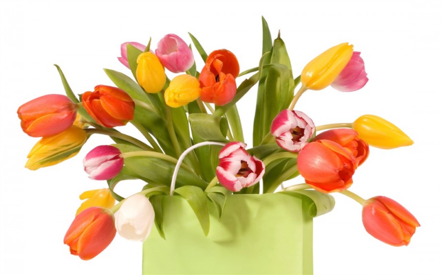 Разноцветные тюльпаны в пакете - картинка №12934