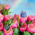 Розовые тюльпаны на фоне неба - картинка №9405