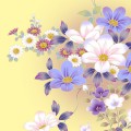 Синие и белые цветы - картинка №13235