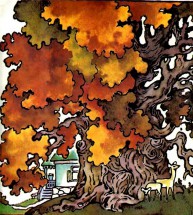 Огромный дуб и домик - картинка					№13008