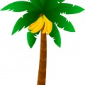 Банановая пальма - картинка №7652