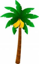 Банановая пальма - картинка					№7652