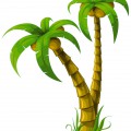 Пальмы с кокосовыми орехами - картинка №13368