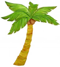 Прекрасная кокосовая пальма - картинка					№10374