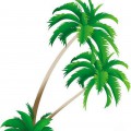 Тонкие пальмы - картинка №12626