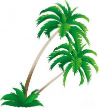 Тонкие пальмы - картинка					№12626
