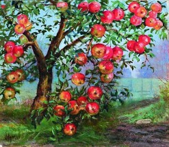 Старая яблоня - картинка					№13789