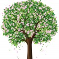 Цветущее дерево яблони - картинка №13353