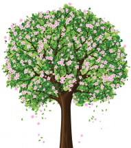Цветущее дерево яблони - картинка					№13353