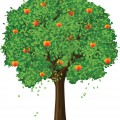Яблоня с густой листвой - картинка №9831