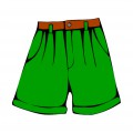 Зеленые шорты - картинка №12919