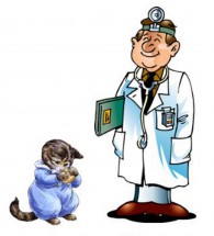 Ветеринар и кот в пижаме - картинка					№13638