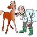 Ветеринар и лошадка - картинка №13065