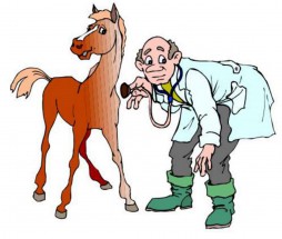 Ветеринар и лошадка - картинка					№13065