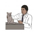 Темнокожий ветеринар и котейка - картинка №9632
