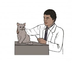 Темнокожий ветеринар и котейка - картинка					№9632